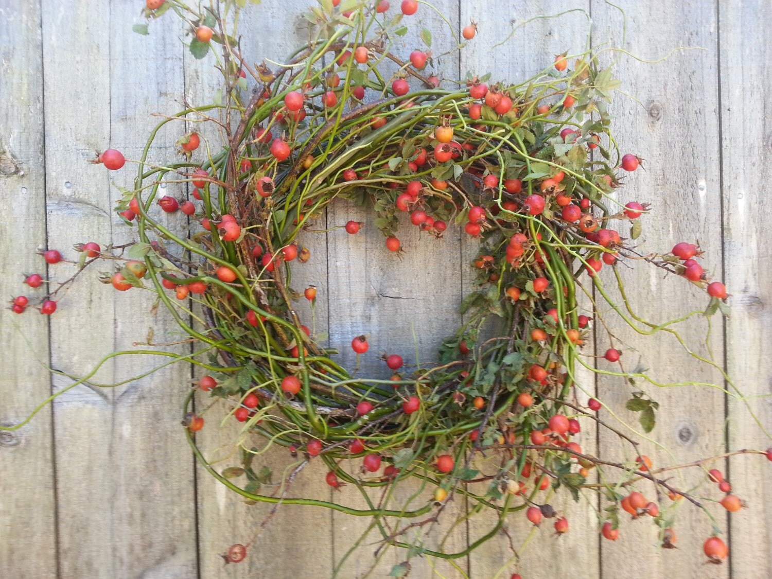 Rosehip and curly willow wreath