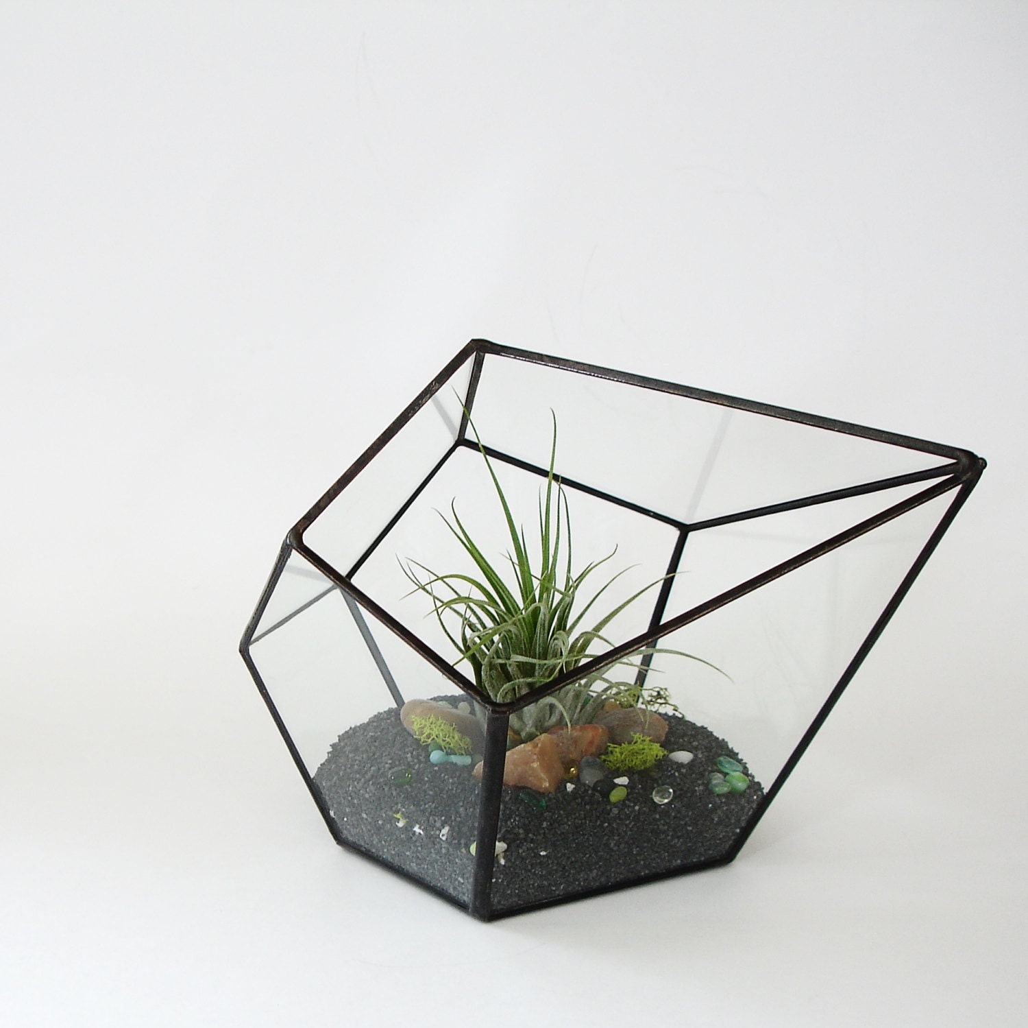 Glass Terrarium with Air Plant Geometric Terrarium Geometric