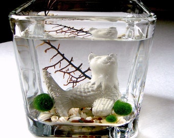 Live Marimo Balls and MerCat Katfish Cat Mermaid Single Terrarium #1