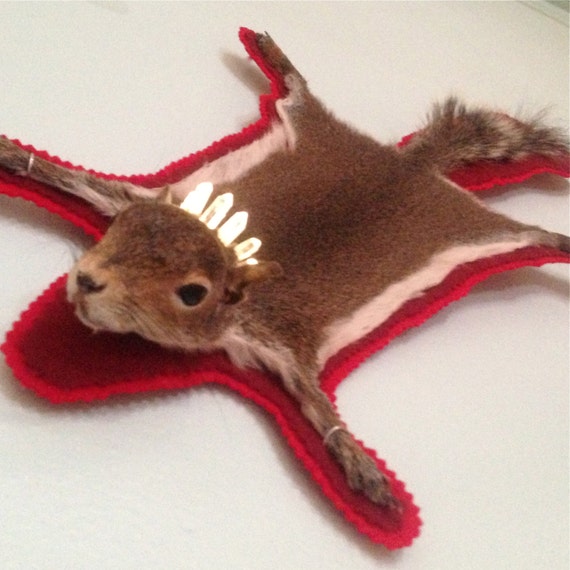 Illuminated TAXIDERMY Squirrel rug with glowing quartz crystal