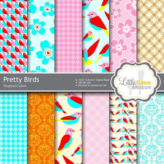 Tropical Birds Scrapbook Paper Pretty Birds by