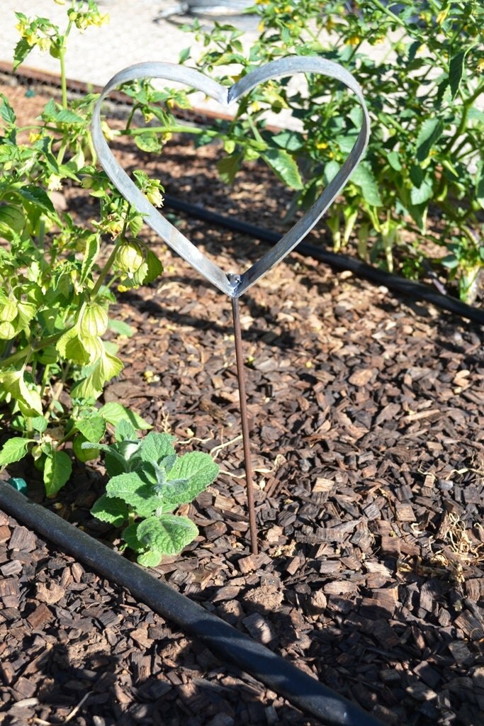 RING ART Jardin Wine Barrel Ring Garden by winecountrycraftsman