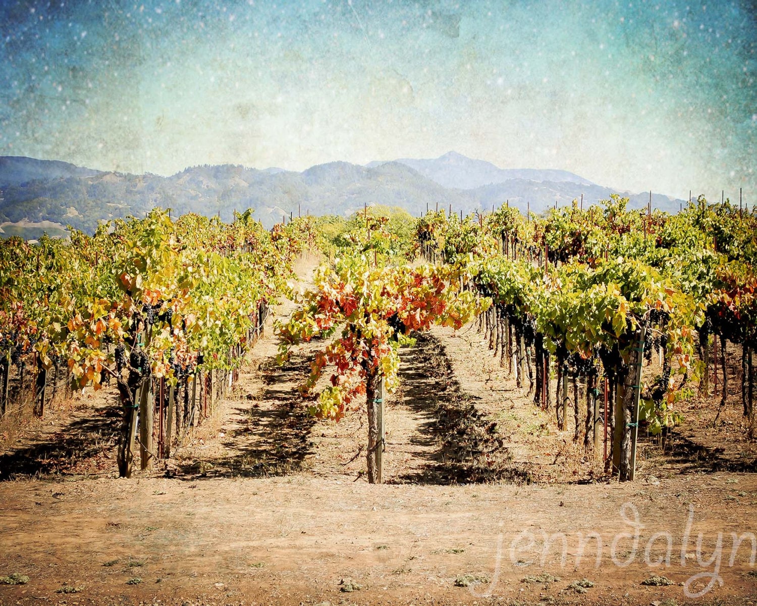 vineyard decor california wine country art sonoma county