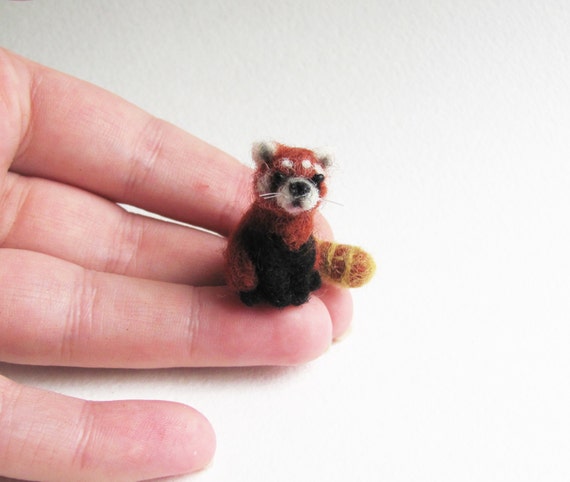 Miniature red panda