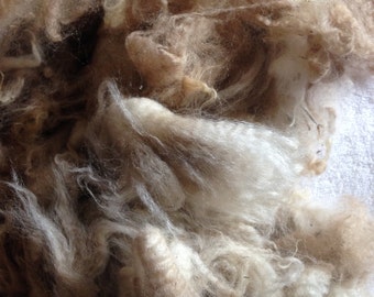 Beige Alpaca Fleece Spinning Fiber from Colorado Ancient Treasures