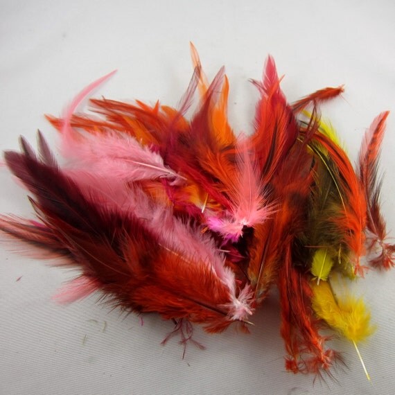 feathers orange red yellow mix 3 to 6 inches craft feathers