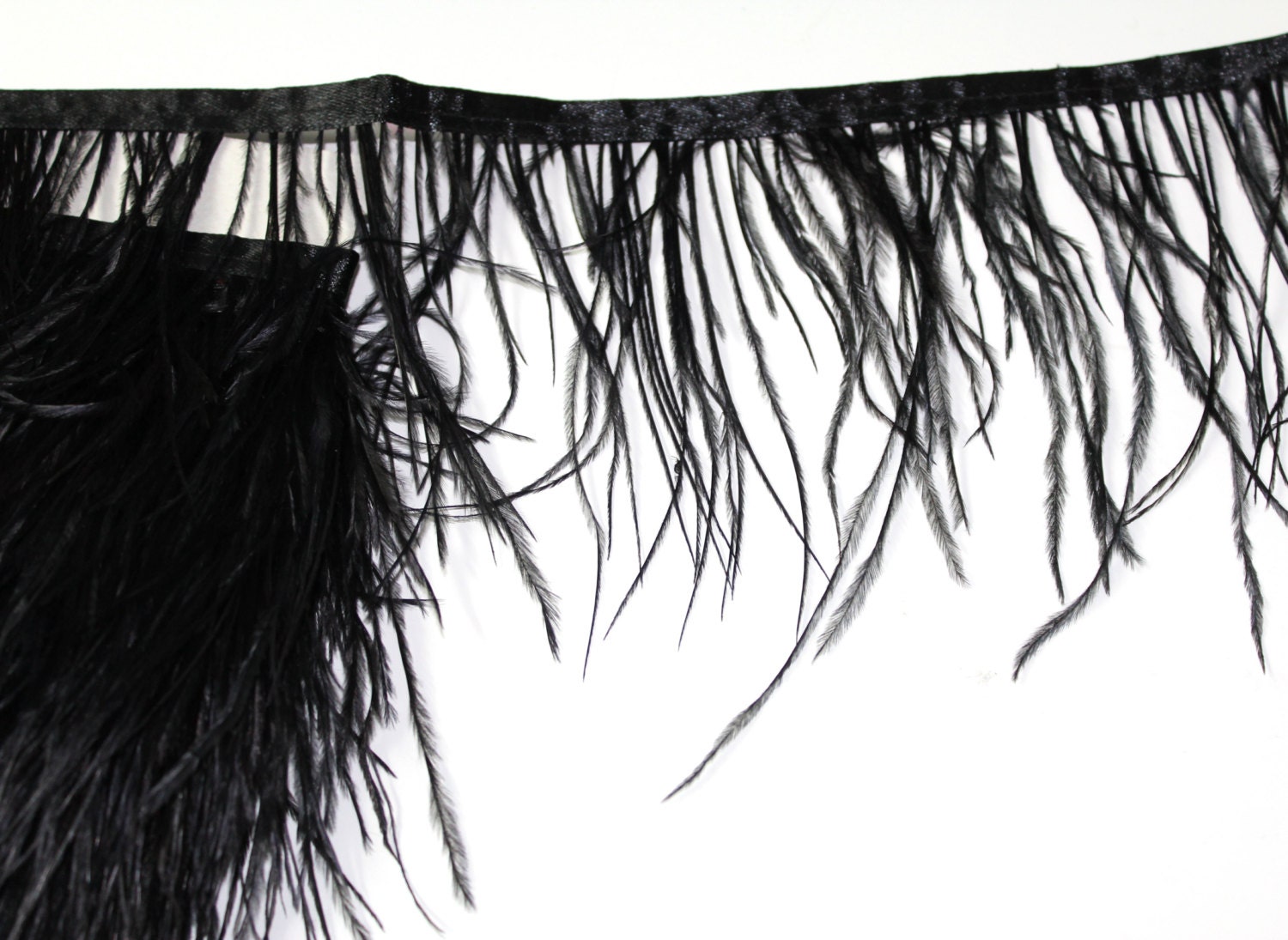 Black feather trim