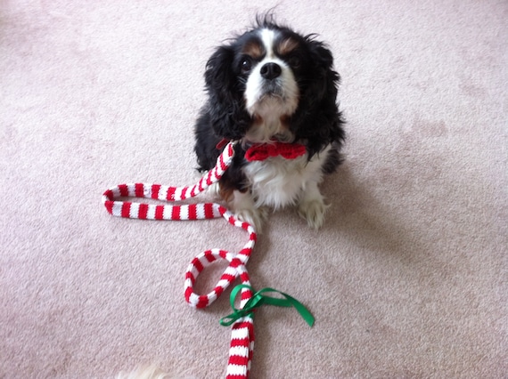 PATTERN - Knit Dog Leash and Bow Tie from ROFLHatFactory on Etsy Studio