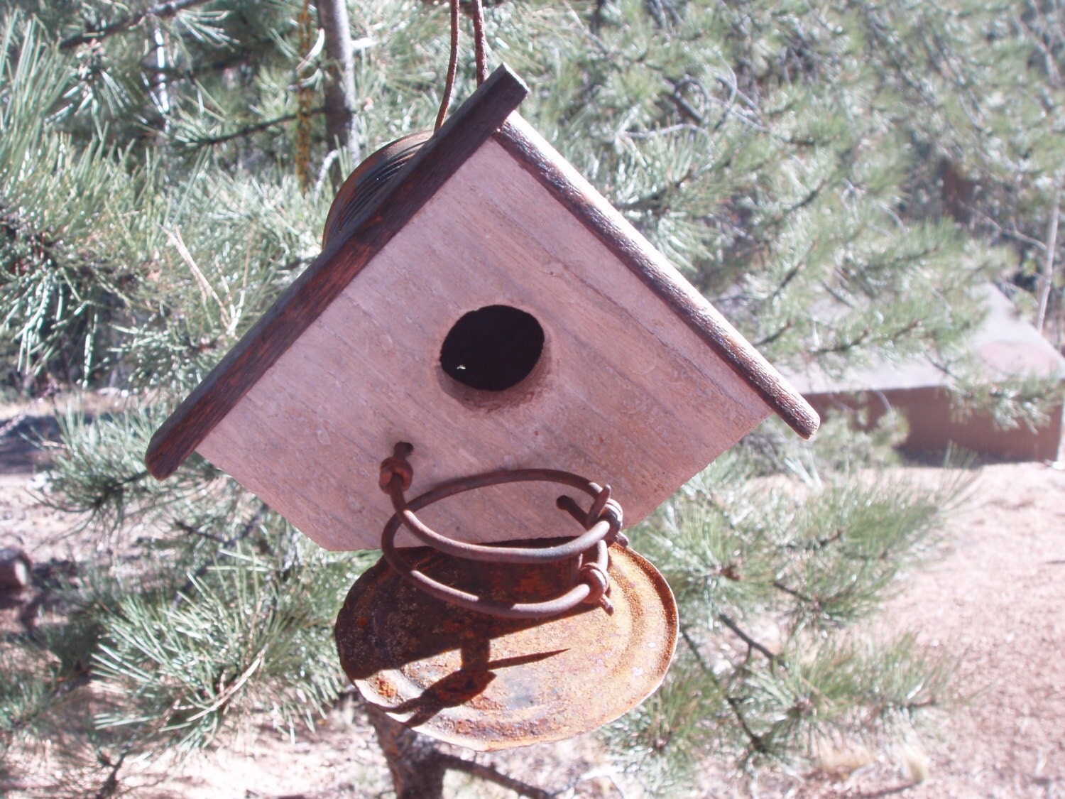 old tin can bird house with fence picket barb wire bird or