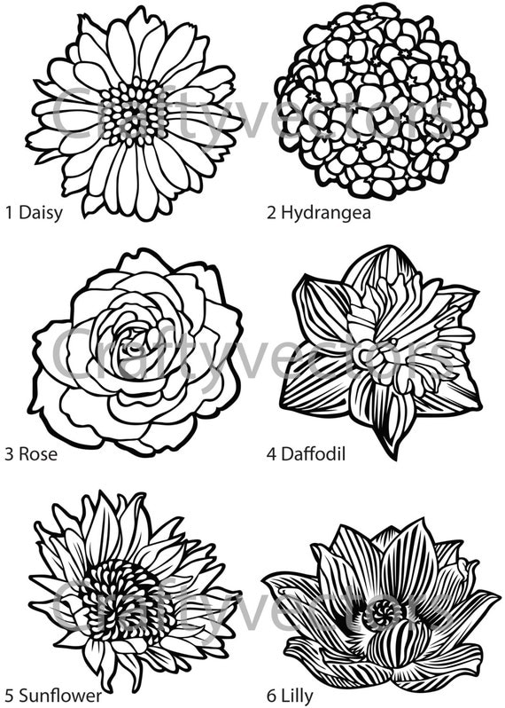 Download Flower Vector Designs SVG