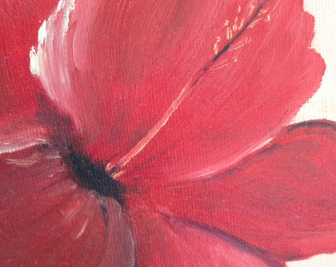 Hibiscus in Oil - Unframed 12 x 12 on Canvas