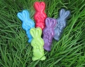 Easter Bunny Crayons set of 10 - Easter crayons - Bunny Crayons - party favors Il_170x135