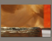Fine Art Photography Titled 'Abstarct Water Block'  8x10 Photograph Orange, Brown and Grey Hues, Modern Style, Wall Decor