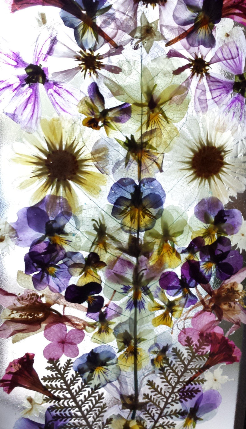 SALE Real Pressed Flower Collage on Glass in 7 x 13 Floating