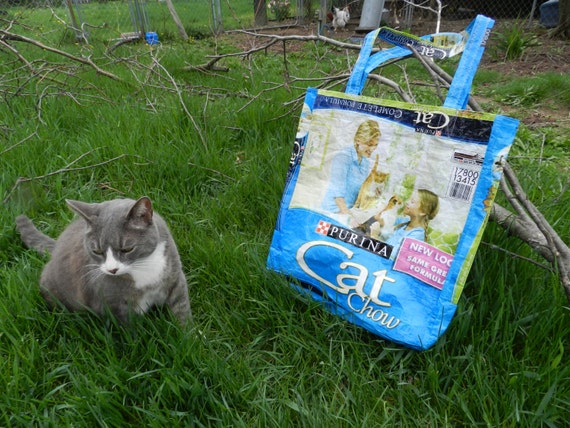 cat food blue bag