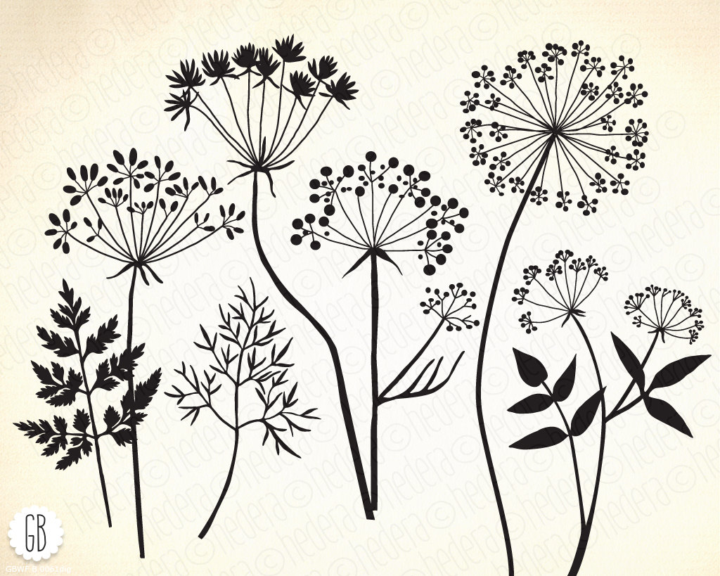 Download Wild herbs flowers silhouette vector clip art dandelion