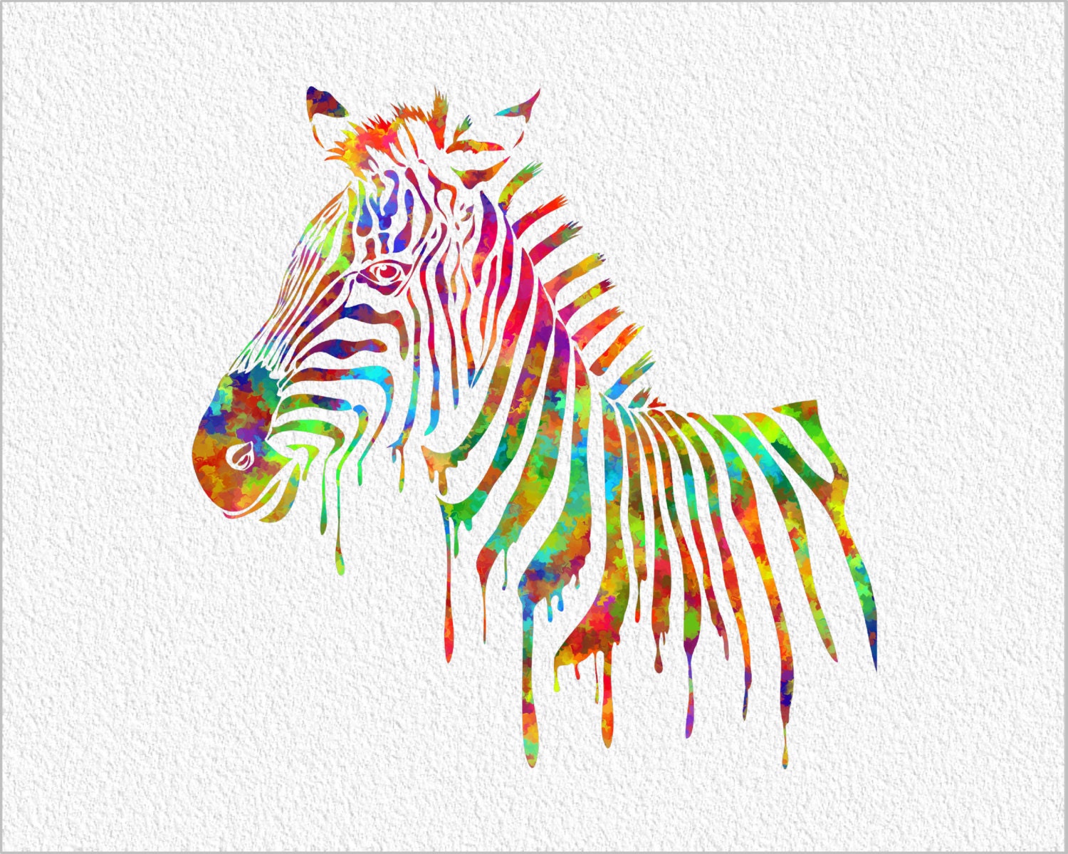 ZEBRA Watercolor Art Print 5 X 7 Rainbow By ImageDeSignStudio