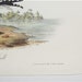 Antique 1840 First 1st Edition Audubon Bird Print Octovo Forked Tailed Gull