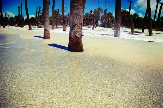 Items similar to Palm Trees on the Beach, Egmont Key Florida on Etsy