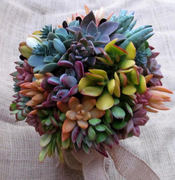 Succulents in bright colors make a great bouquet
