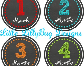 ON SALE Monthly Baby Milestone Stickers Baby Boy Baby Shower Gift One-Piece Baby Stickers Monthly Baby Stickers Baby Month Sticker Sketch 18