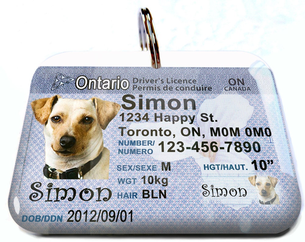 Ontario driver licence number generator registration