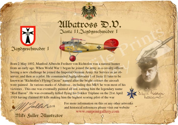 Albatross DV Red Baron 1917 Vintage Aircraft Profile Artwork