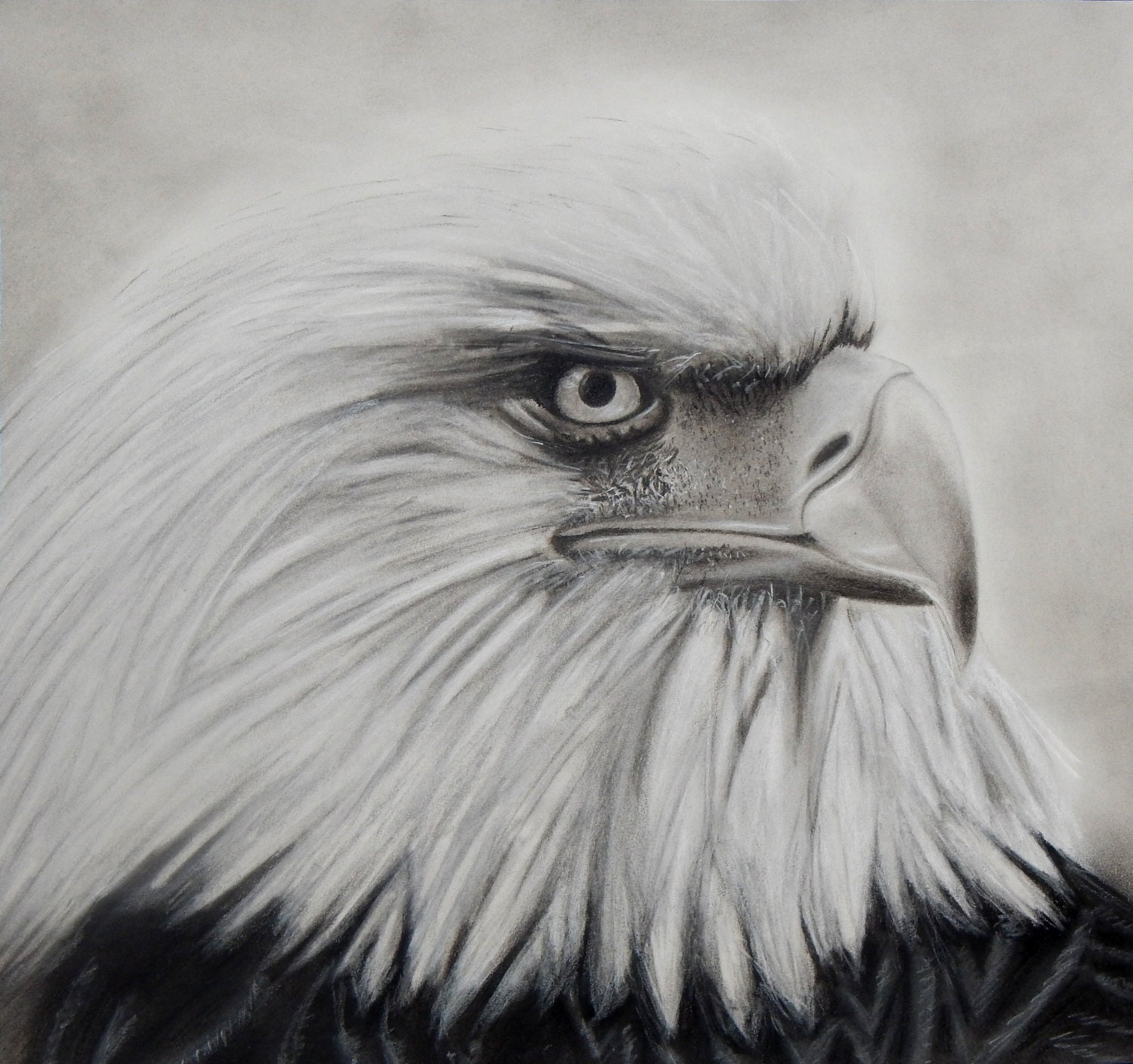 Eagle Drawing Print of Charcoal Eagle Eagle Print by TheRebelEdge