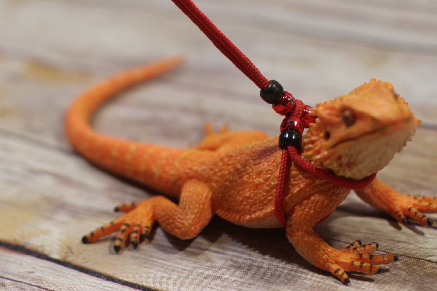 REPTILE LEASH ADJUSTABLE Leash harness Adjustable to fit any