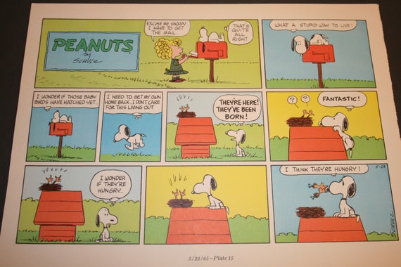 Snoopy and Woodstock Comic Strip Peanuts Retro Nostalgic