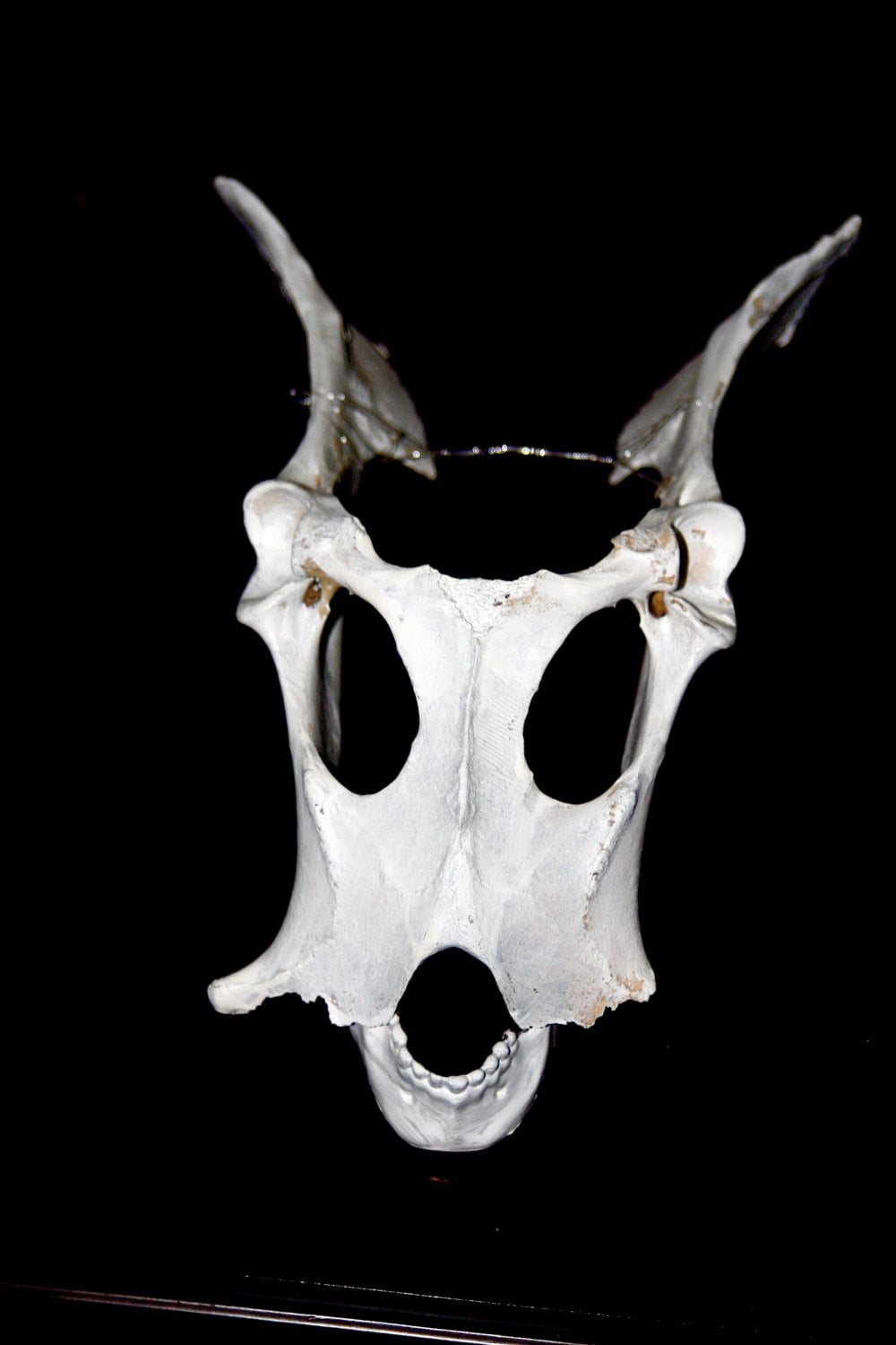 instal the new for ios Cultist Deer Skull Mask cs go skin