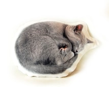 cat pet pillow