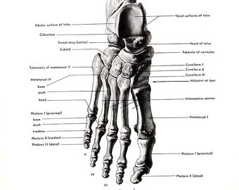 Human feet | Etsy