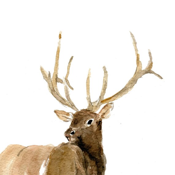 Elk 2 art print of watercolor painting Woodland by TheJoyofColor