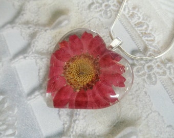 Purple Daisy Pressed Flower Glass Heart Pendant-Symbolizes Loyal Love-Nature's Wearable Art-Gifts Under 25