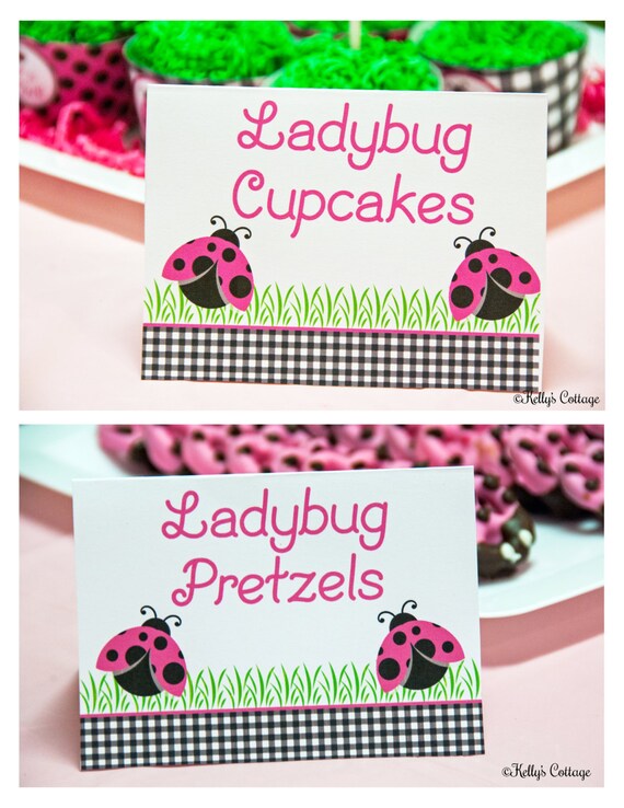 Ladybug Baby Shower Party Labels, Instant Download, Printable, Food Tags, Place Cards, Party Signs Il_570xn