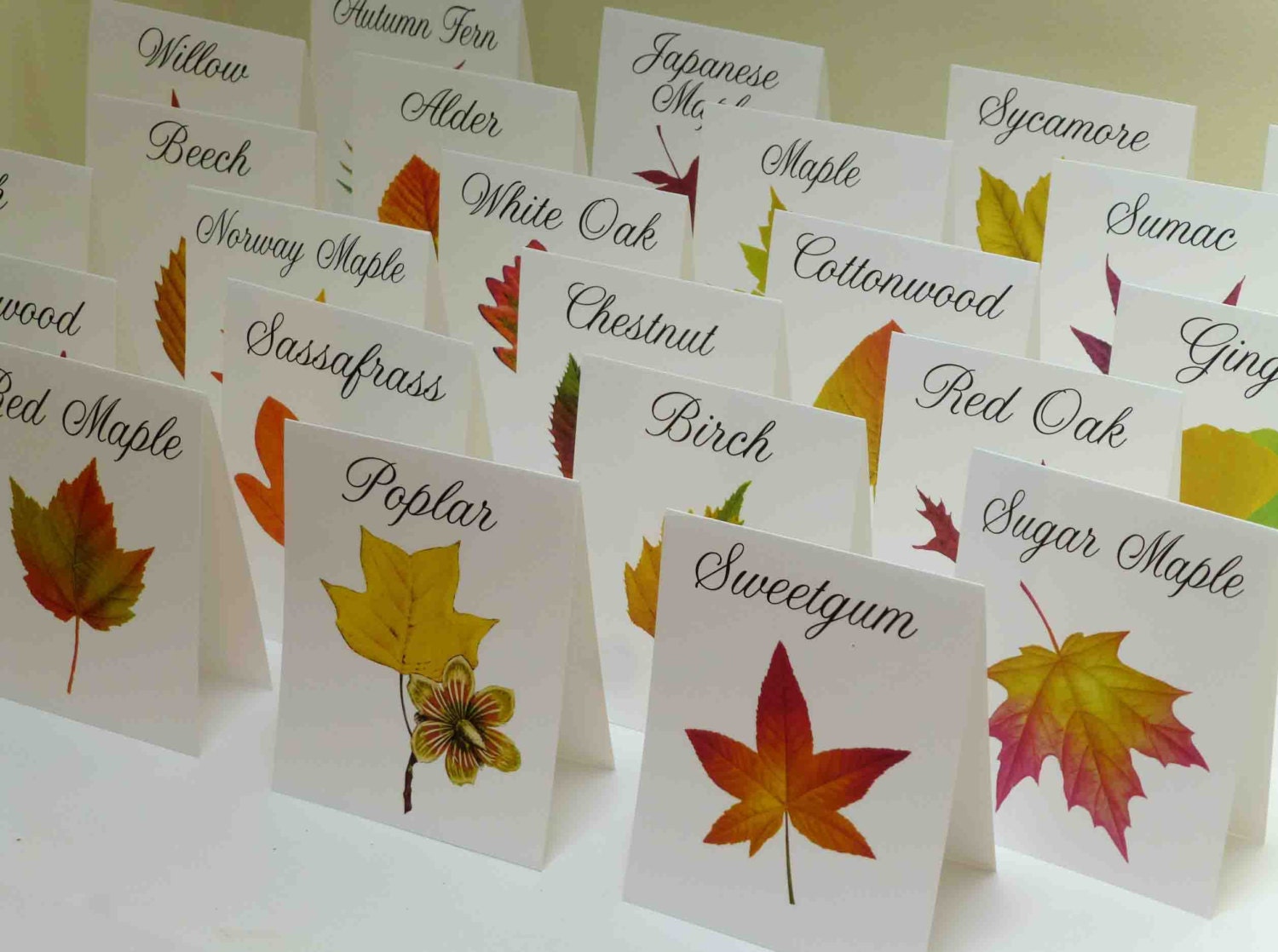 Autumn Leaf Table Cards Autumn Leaf Table Tents by LeafDecor