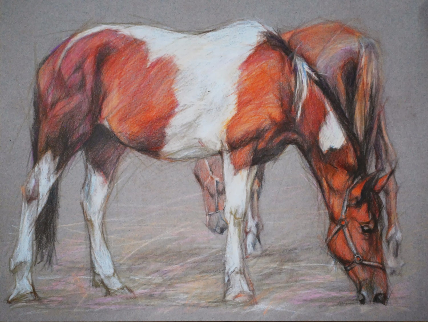 Horses eat in the wild drawing Original by PETARTPortraits