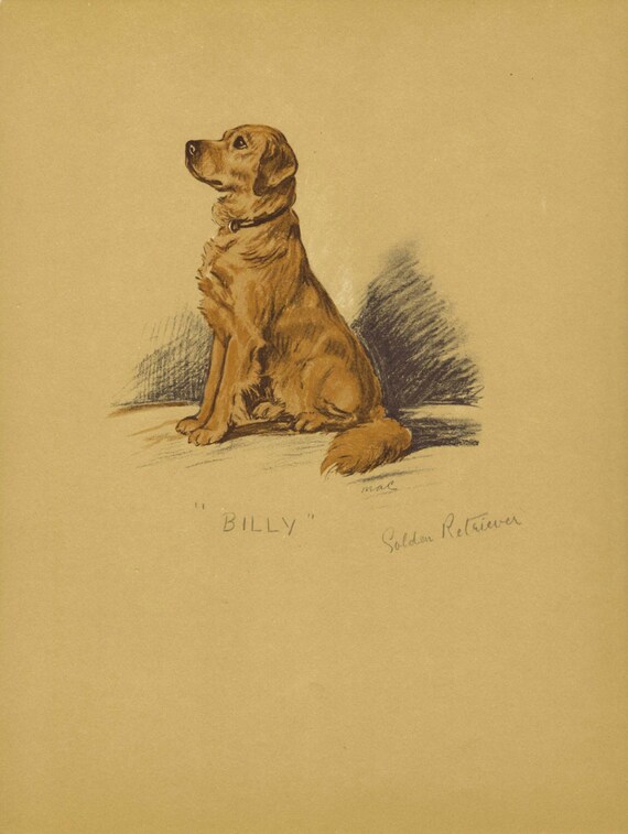 GOLDEN RETRIEVER Dog  Print, Lucy Dawson, Wall Art, Home Decor, Art Illustration, Pet Portrait, Book plate, Book page, lithograph, B-1