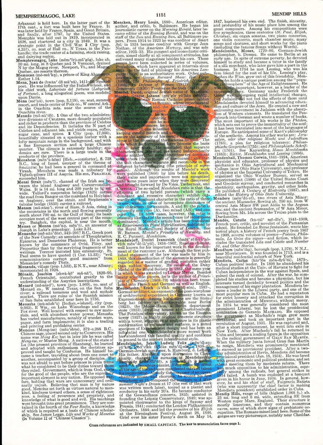 dictionary-art-print-cute-hawaiian-dog-on-by-sheridictionaryprint