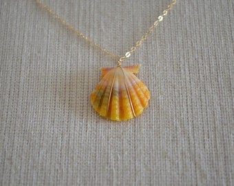 Sunrise Shell Necklace, Gold Filled Chain