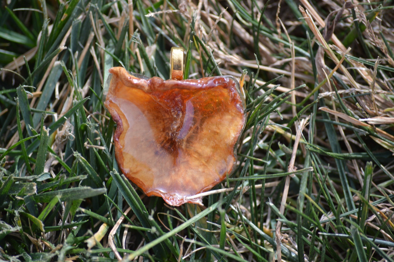 Real Fruit Necklace Fruit Jewelry Fruit by SewCreativewithlove