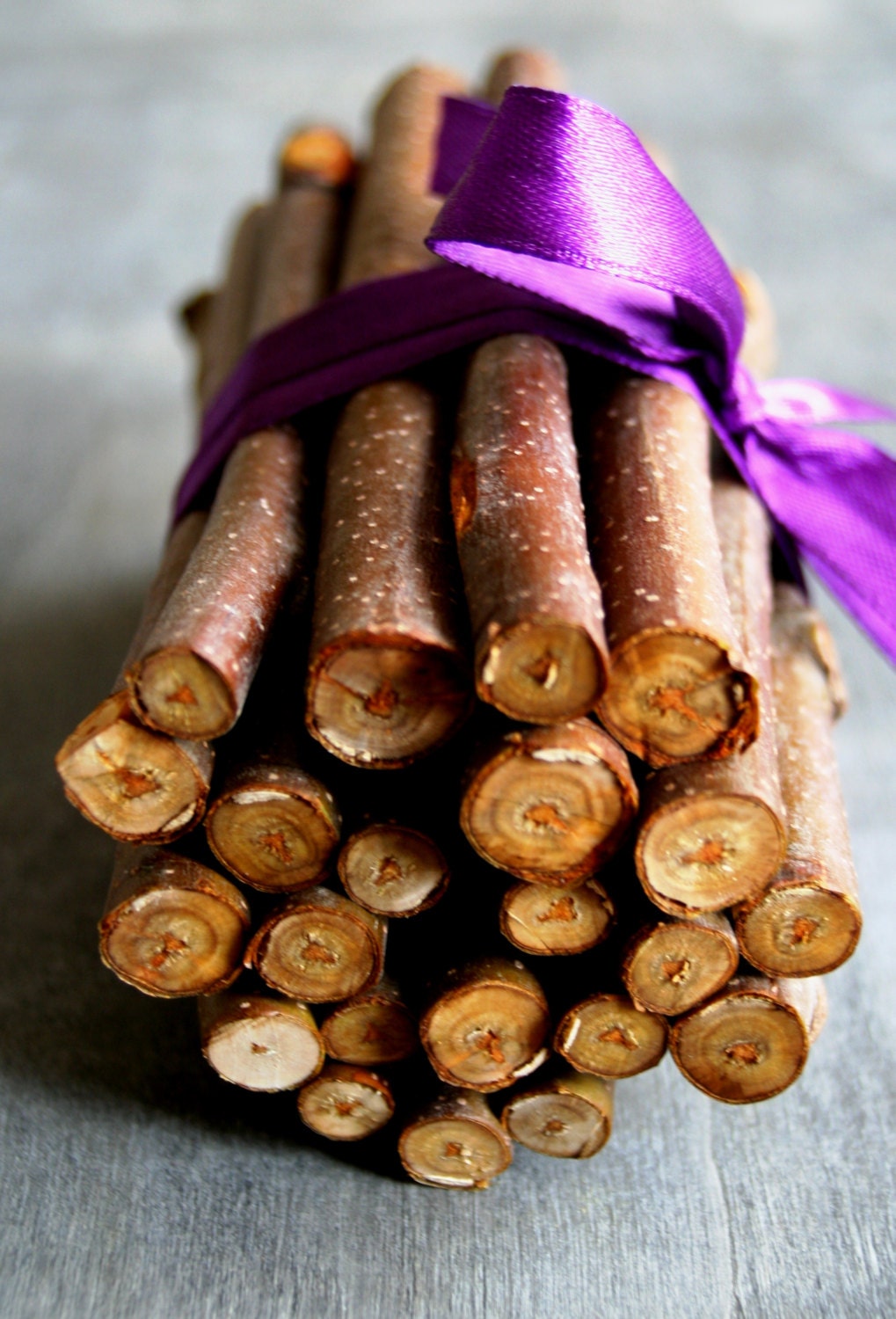 BRANCH Thick Craft sticks Natural Branch Willow Tree