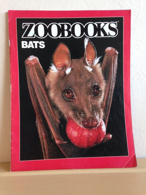 ZOOBOOKS Bats Magazine. December 1989 Volume Seven Number