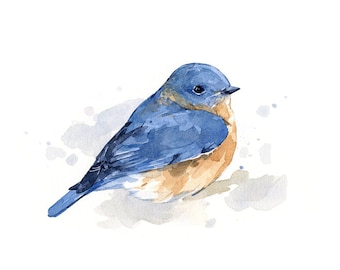 Bluebird watercolor painting - bird print 5x7