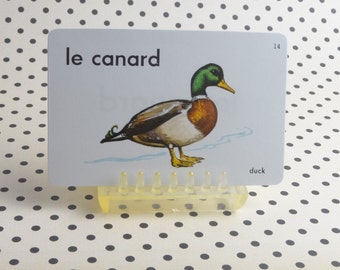 Vintage 1962 "Duck" Picture & Word Flash Card, Choice of English (duck), French (le canard) or Spanish (el pato), Whitman Publ, Racine, WI