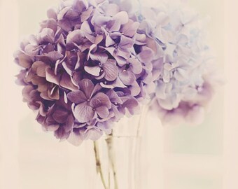 Hydrangea Wall Art shabby chic decor blue hydrangea photo hydrangea wall decor Hydrangea Wall Art shabby chic decor blue hydrangea photo hydrangea wall decor