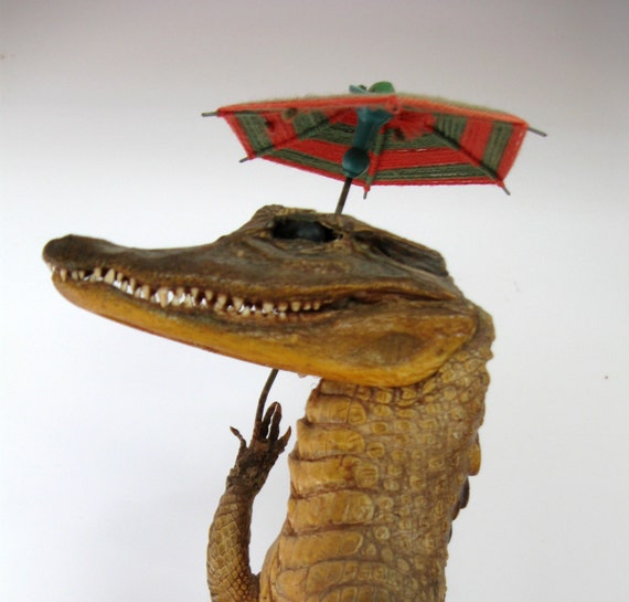 vintage stuffed alligator