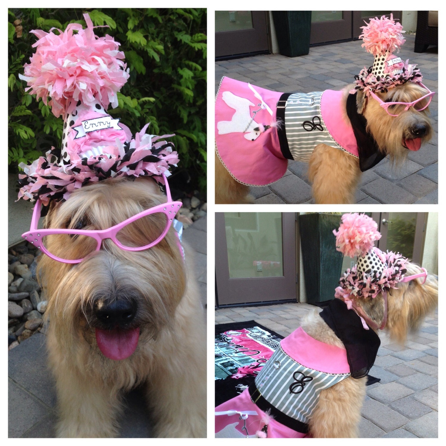 Doggie Party Hat Custom Dog Hat Birthday Photo Prop Puppy