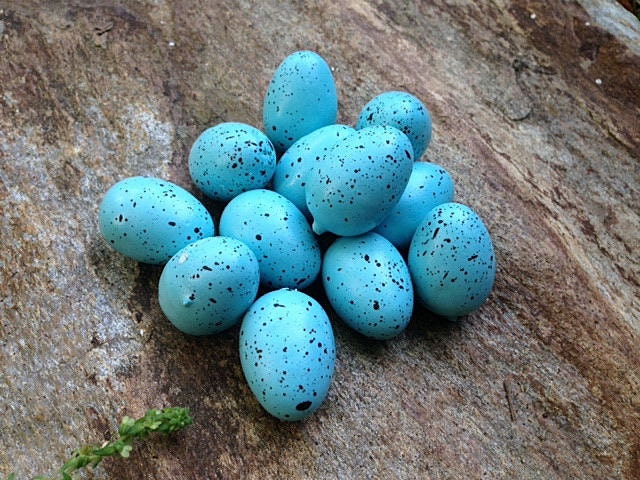 Decorative Bird Eggs 12 Blue Speckled Eggs Floral Supply